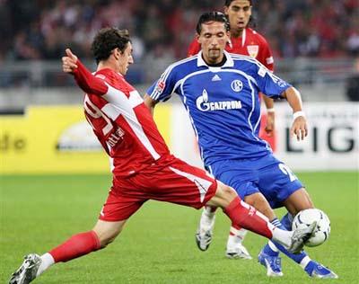 了环境友好 了环境友好